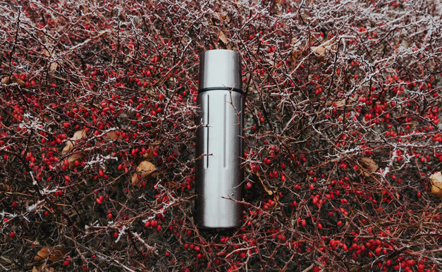 SIGG Gemstone termospullo 0,75 l